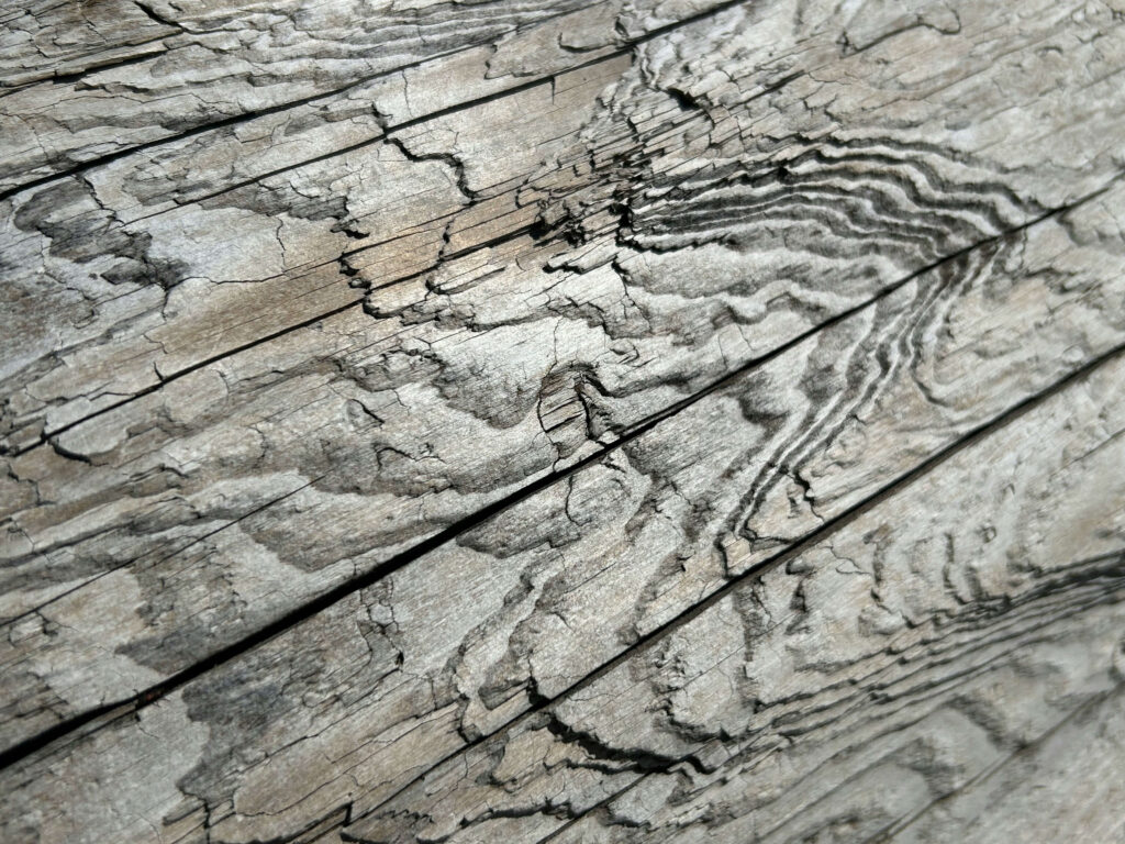 driftwood stain